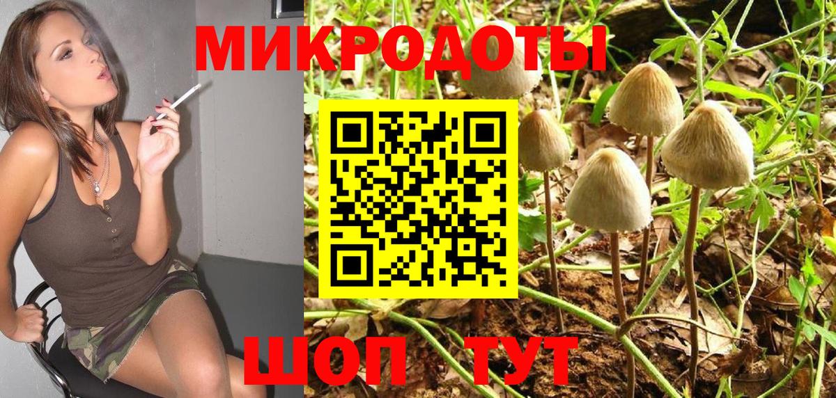 Галлюциногенные грибы Cubensis Богданович