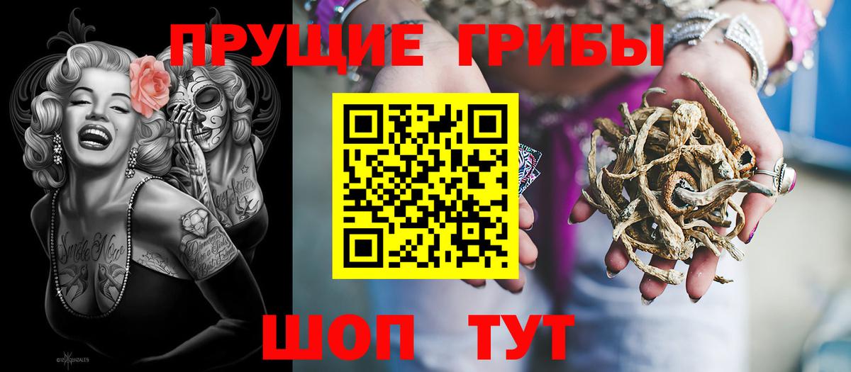 Богданович  Псилоцибиновые грибы ЛСД  Псилоцибиновые грибы ЛСД  Вход с VPN 