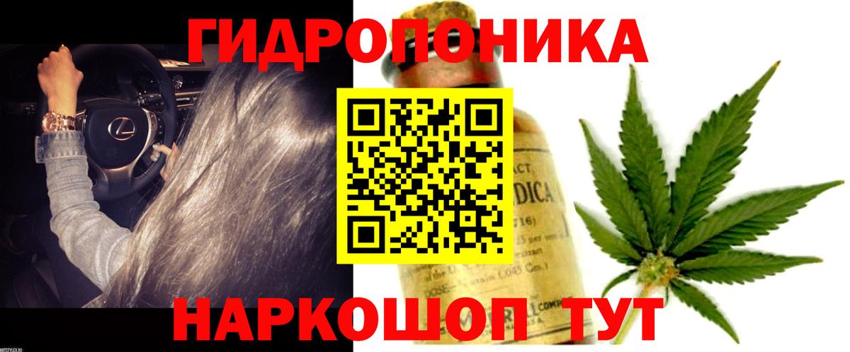 Канабис конопля Богданович